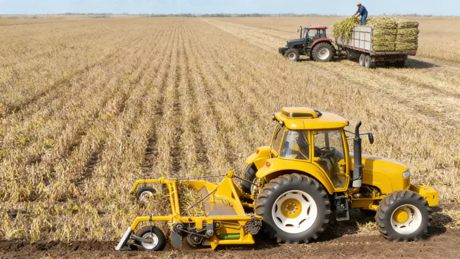 Kidney bean puller application