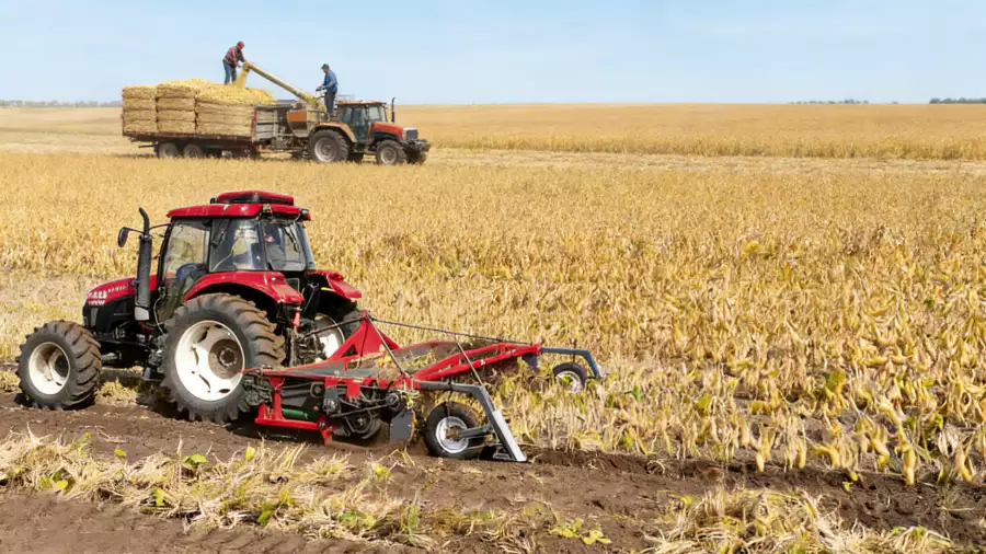  Kidney bean puller application 4