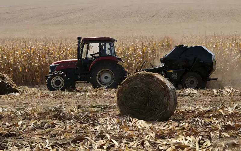 Round Bales in Agricultural Field
